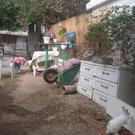Το Μικρό Σπίτι Στη Φάρμα! Apartment Acharnes Ngoại thất bức ảnh